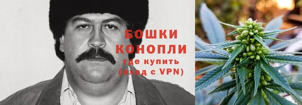 spice Алексин