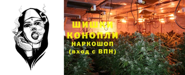 ешки Алексеевка