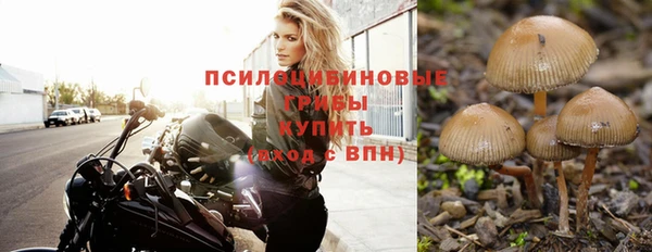 ешки Алексеевка